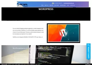 WordPress Development Services Provider Company | Baniwal Infotech