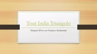 Tour India Triangolo