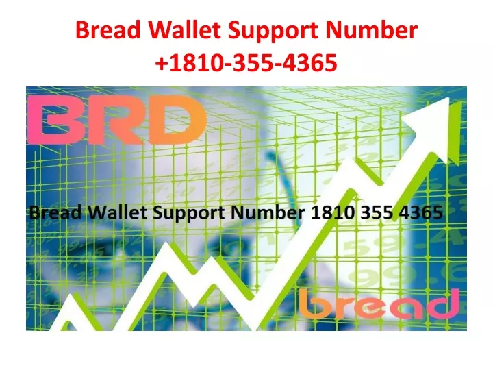 bread wallet support number 1810 355 4365