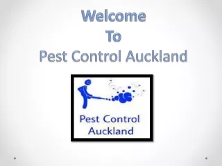 Pest Control Auckland | Rodent Control East, West and South Auckland City | Coronavirus Deep Cleaning