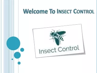 Insect Control Auckland North Shore, West, South | Call Us 0800 199 399