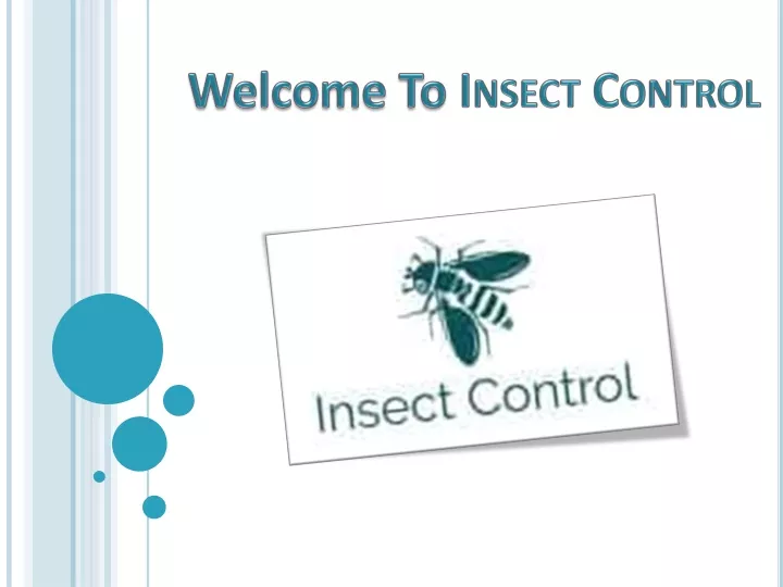 welcome to insect control