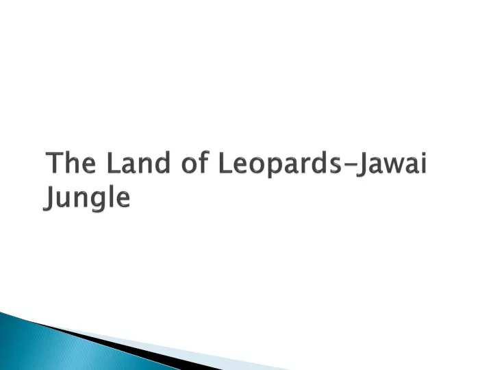the land of leopards jawai jungle