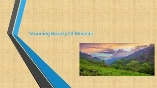 Enhancing Beauty of Munnar