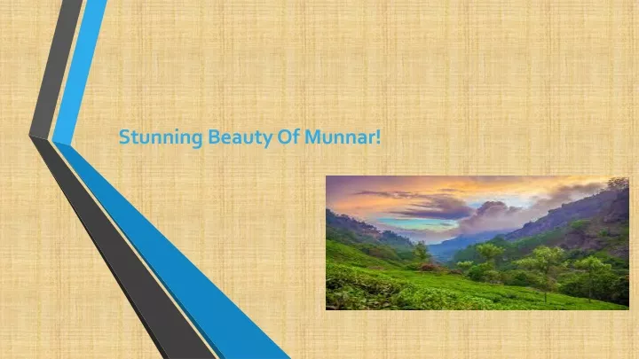 stunning beauty of munnar