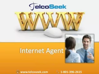 internet agent