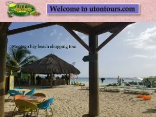 Guided Tours in Montego Bay