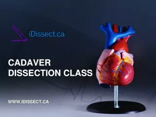 Cadaver Dissection Class - IDISSECT