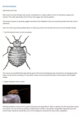 Undeniable Proof That You Need bed bug control