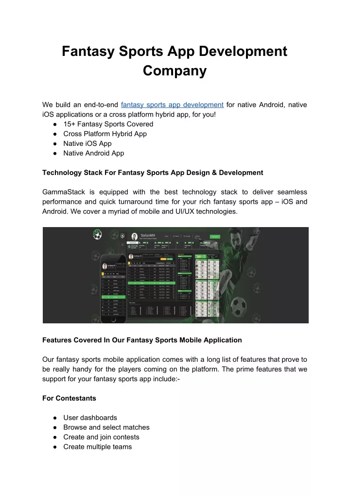fantasy sports app development company we build