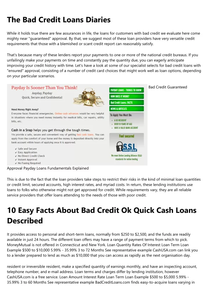 the bad credit loans diaries