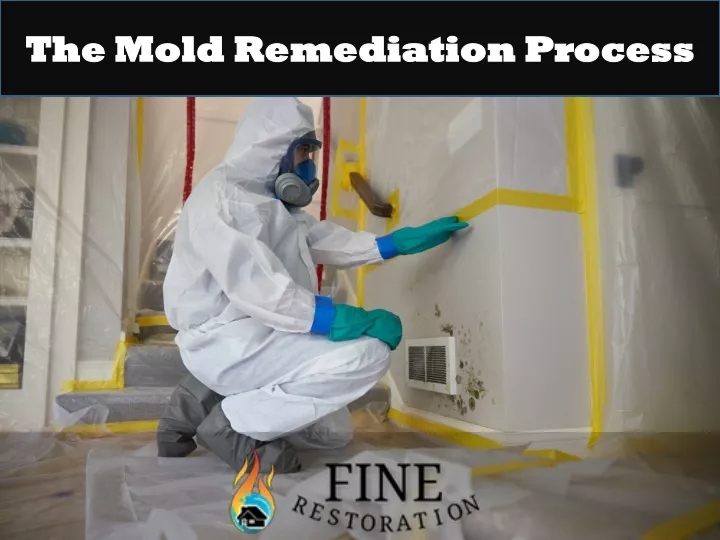 the mold remediation process the mold remediation