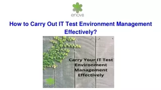 how to carry out it test environment management