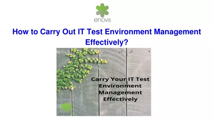 how to carry out it test environment management