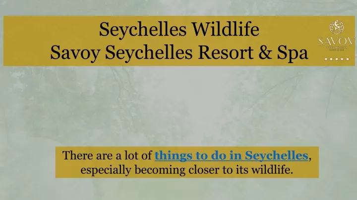 seychelles wildlife savoy seychelles resort spa