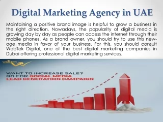 WebTek Digital Marketing Agency in UAE