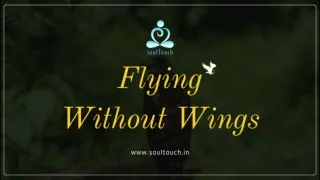 Flying without wings
