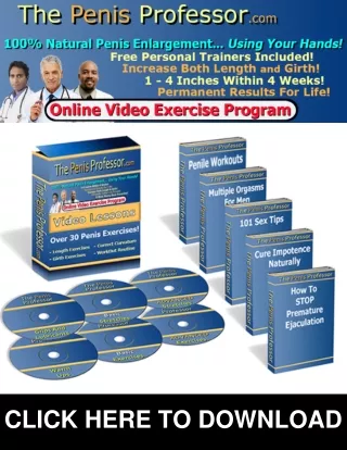 The Penis Professor PDF, PE Professor Exercise Program Download