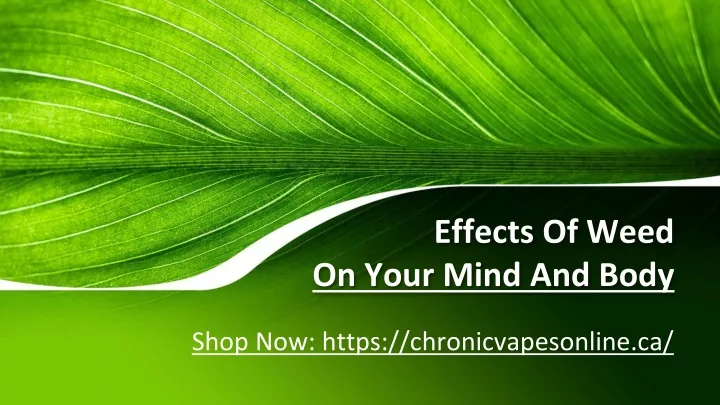 effects of weed on your mind and body