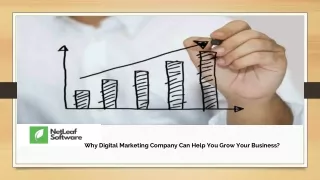 why digital marketing company can help you grow