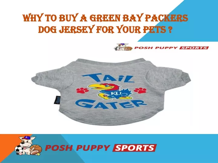 why to buy a green bay packers dog jersey