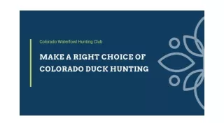 Make a Right Choice of Colorado Duck Hunting
