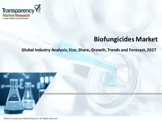 2019 transparency market research all rights