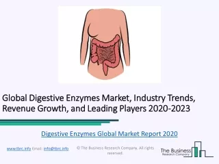 Global Digestive Enzymes Market Characteristics, Forecast Size, Trends Till 2023