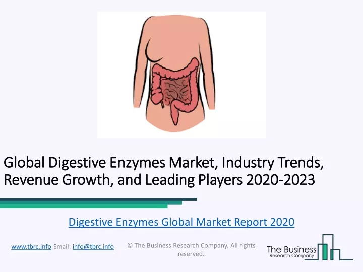 global global digestive enzymes digestive enzymes