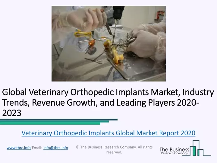 global global veterinary orthopedic implants