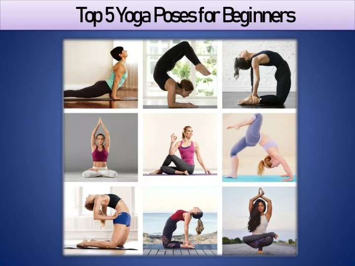 top 5 y oga poses for beginners