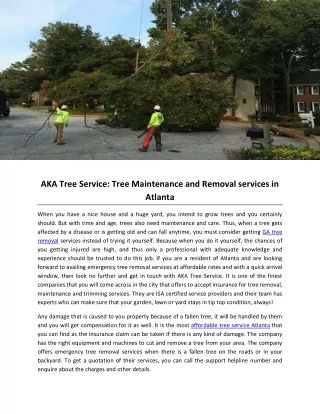 aka tree service tree maintenance and removal