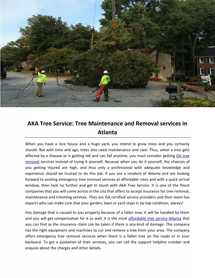 aka tree service tree maintenance and removal