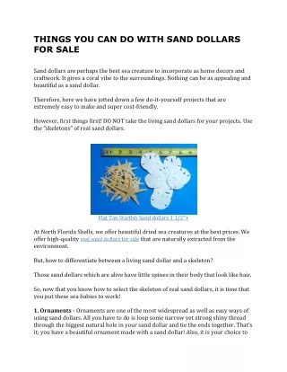 things you can do with sand dollars for sale