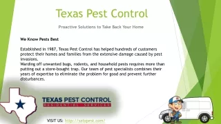 Termite Control San Antonio
