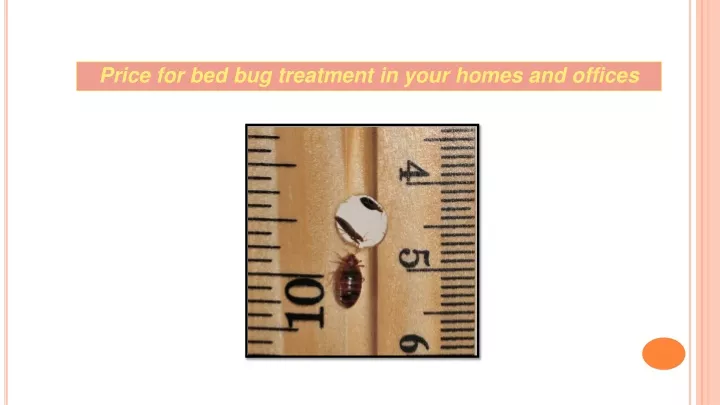 price for bed bug treatment in your homes