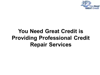 You Need Great Credit is Providing Professional Credit Repair Services