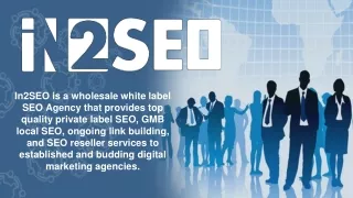 in2seo is a wholesale white label seo agency that