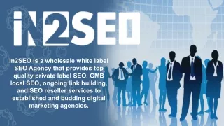 in2seo is a wholesale white label seo agency that