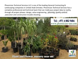 phoenician technical services