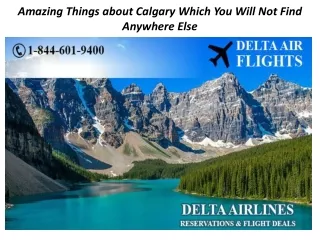 Amazing Things about Calgary Which You Will Not Find Anywhere Else