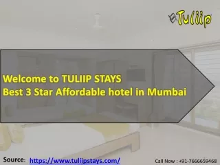TuliipStays : Accommodation Facilities | Hotels | Restaurant