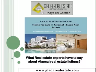 What Real estate experts have to say about Akumal real estate listings