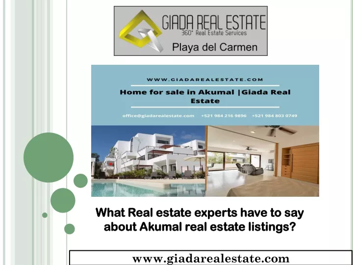 what real estate experts have to say about akumal