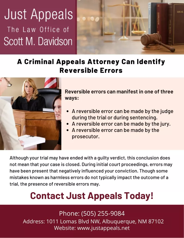 a criminal appeals attorney can identify