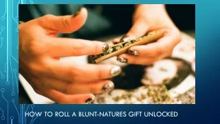 Learn How to Roll a Blunt? Visit Site