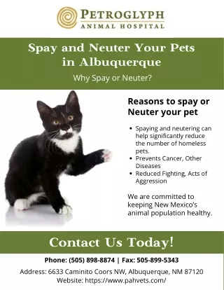 spay and neuter your pets | Pahvets Albuquerque