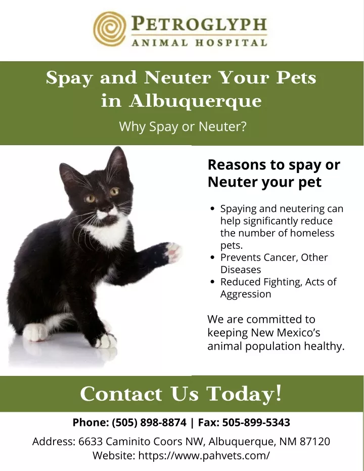 spa y and neuter your pets in albuquerque
