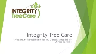 Stump Grinding Experts in Indian Trail - Integrity Tree Care