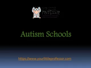Autism Schools - www.yourlittleprofessor.com